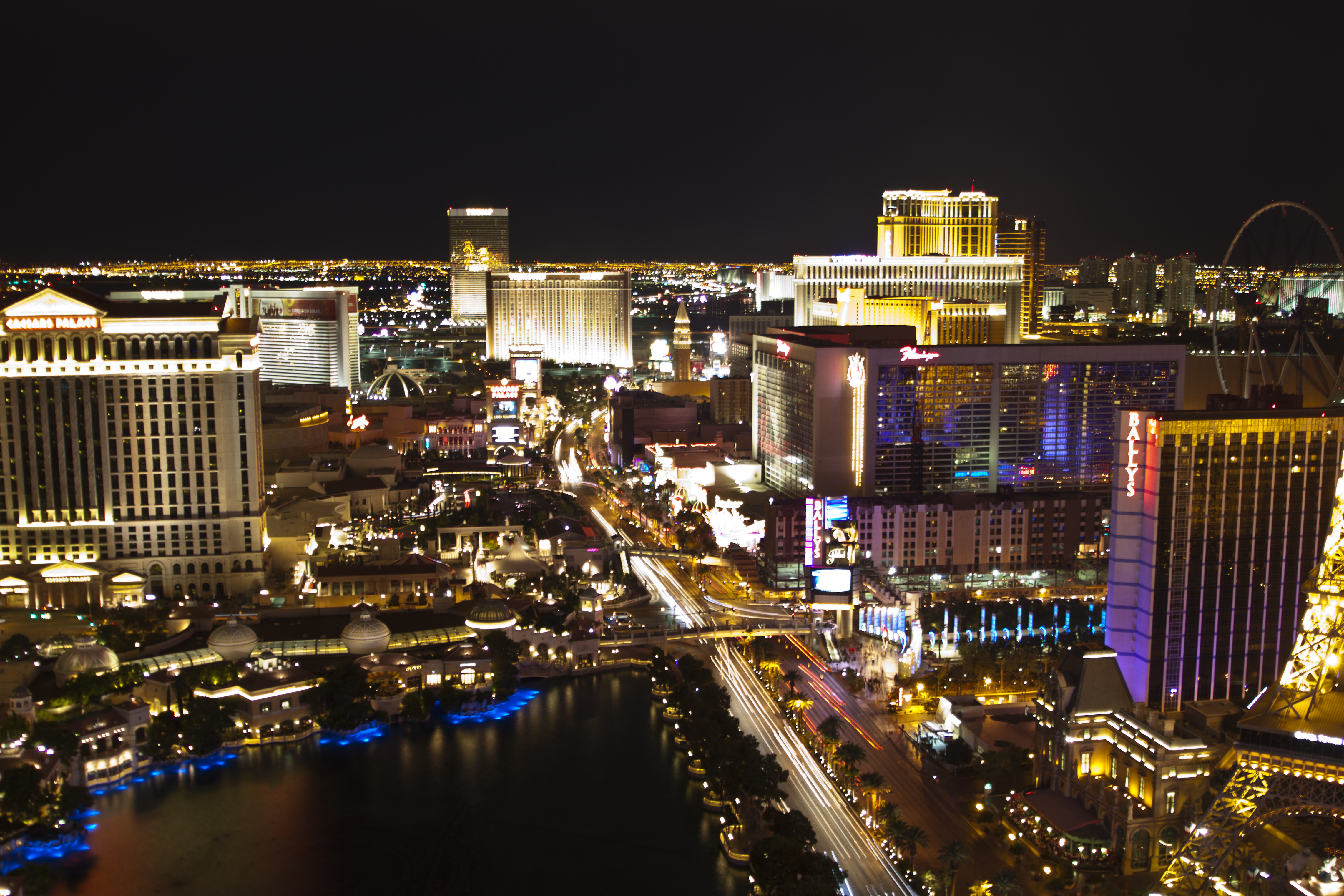 Neon Reverb festival