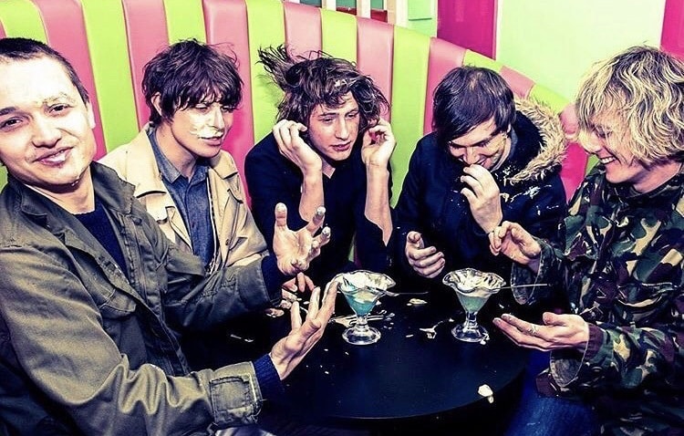cabbage press photo