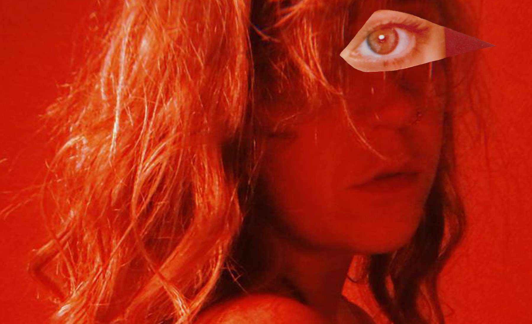 Sharky - Tenerife press photo