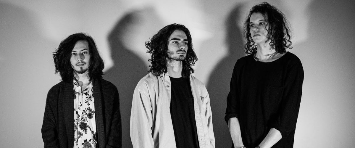 the magnolias press photo