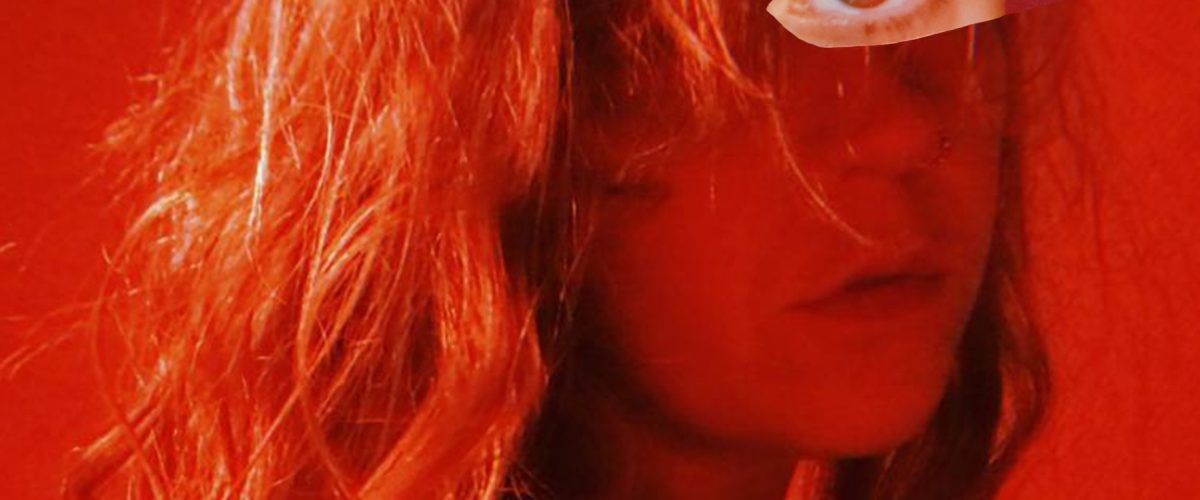 Sharky - Tenerife press photo