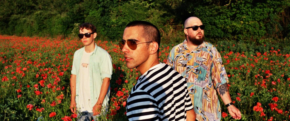 the magic cat press photo for three thousand feathers