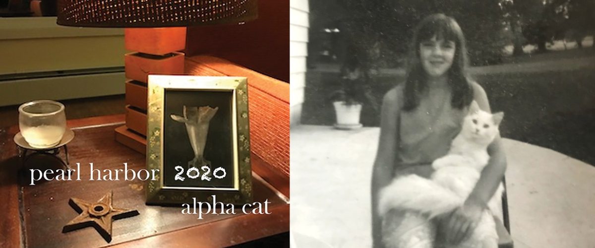 alpha cat - pearl harbour 2020 remastered