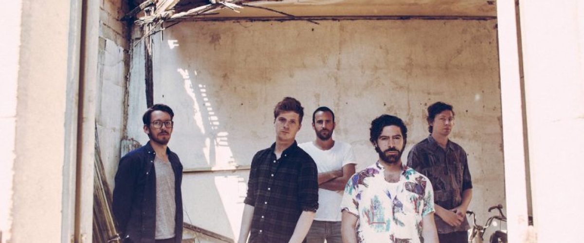 foals